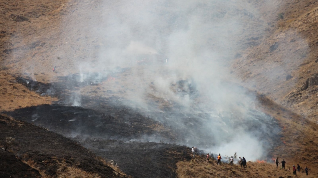 I M G 20250827 133033