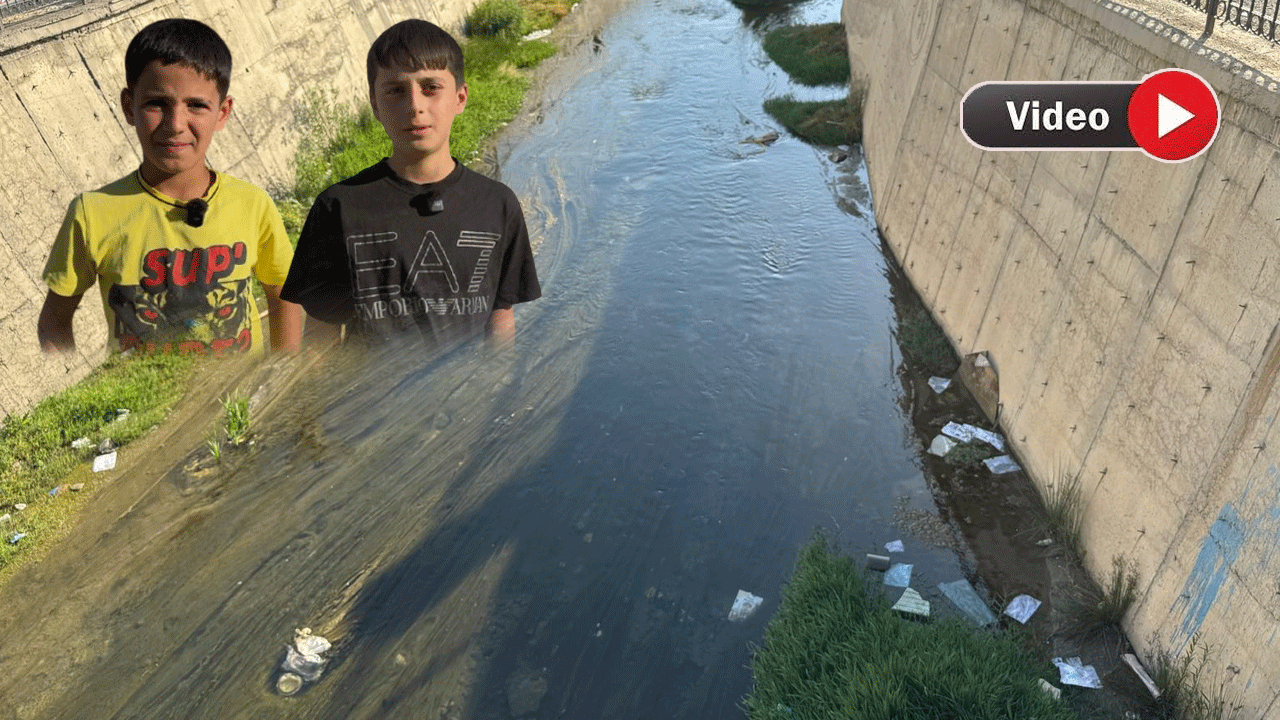Yüksekova’da Çocuklar Kirli Derede Yüzmek Zorunda Kalıyor