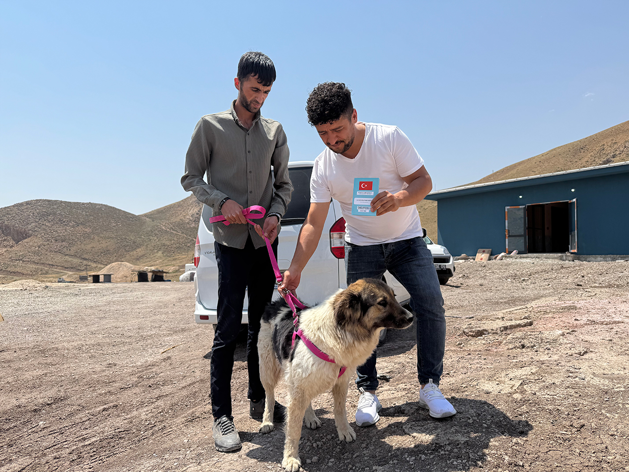 Sahiplendirilenköpek