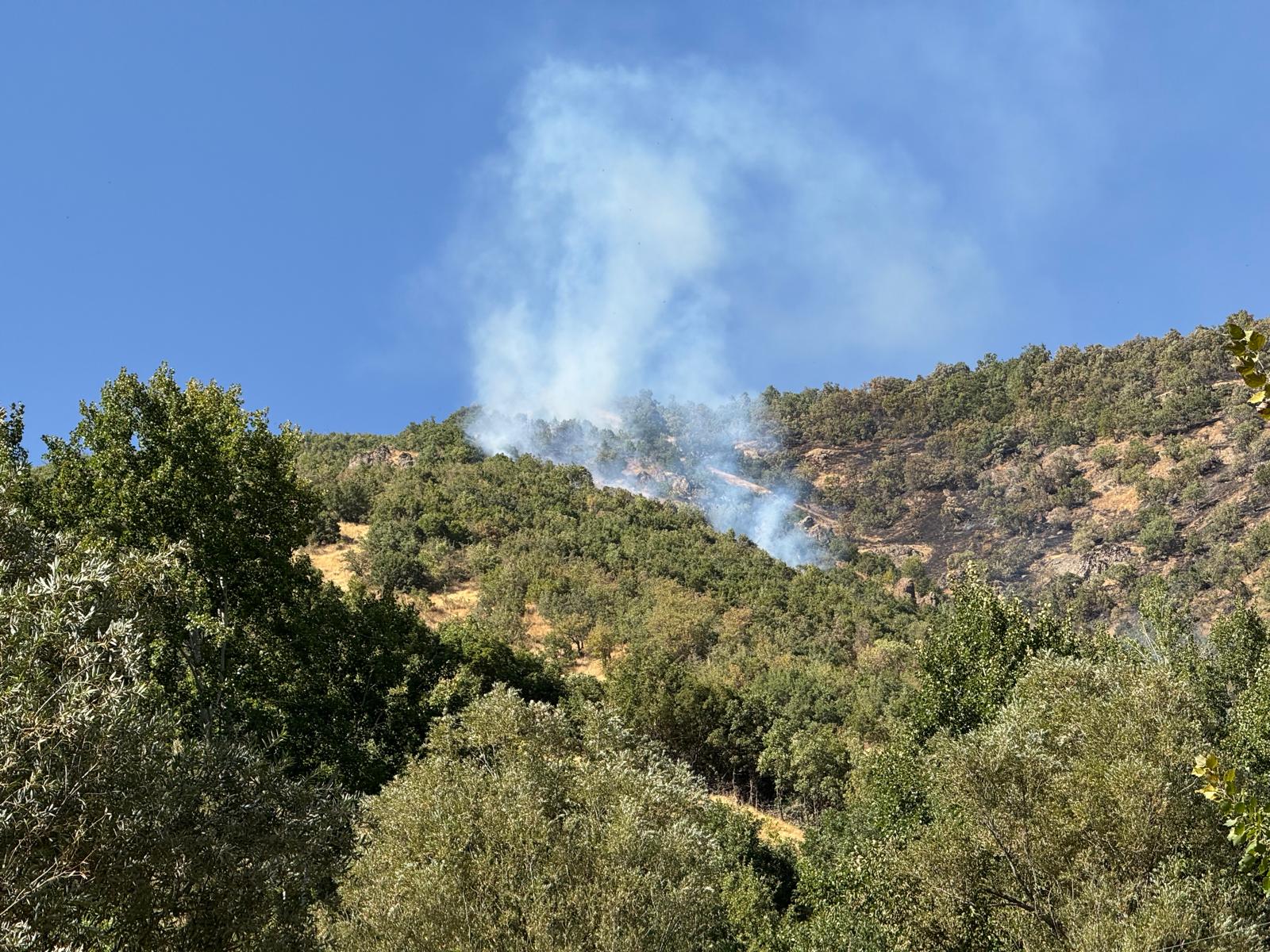 344791C4 E49B 4476 B3Fb 6D53E5B4Ec29