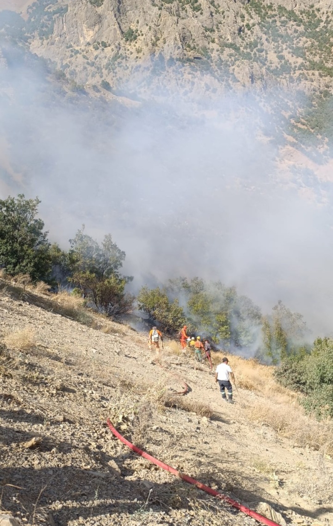 I M G 20250902 103722