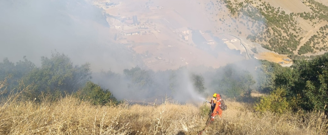 I M G 20250902 103739