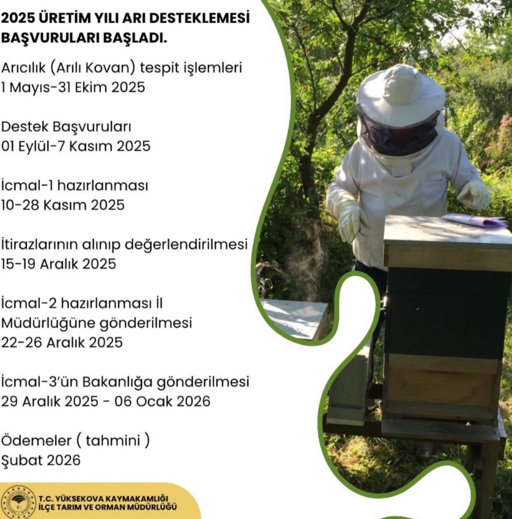 I M G 20250904 205713