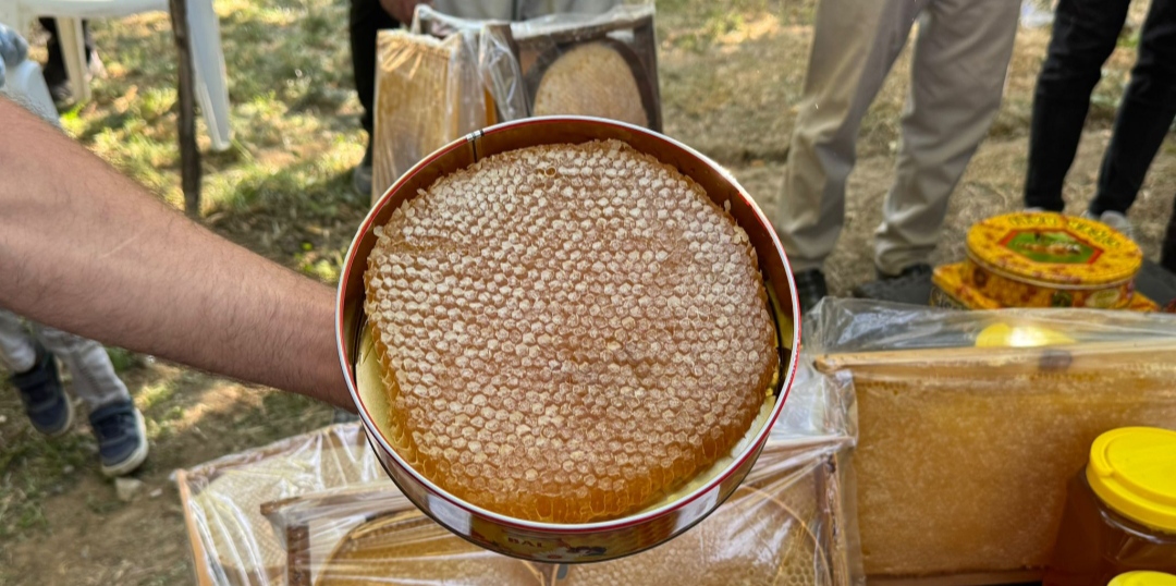 I M G 20250917 195020