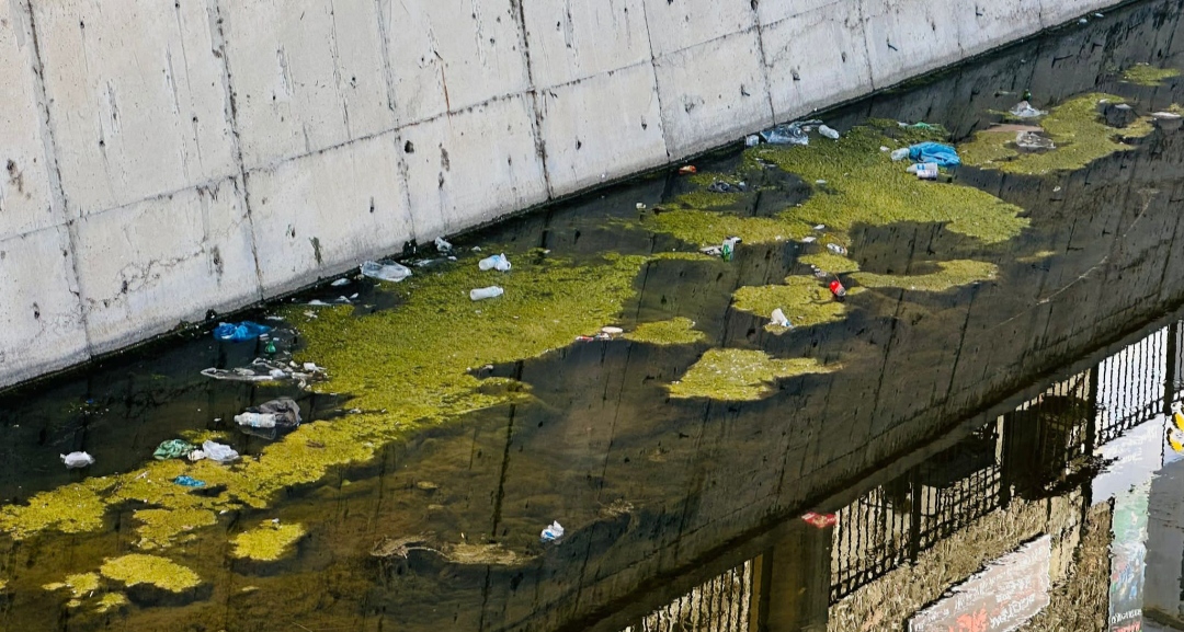 I M G 20250924 180528