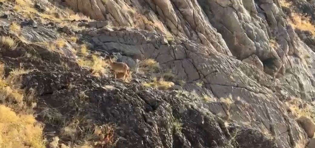 I M G 20250930 092452