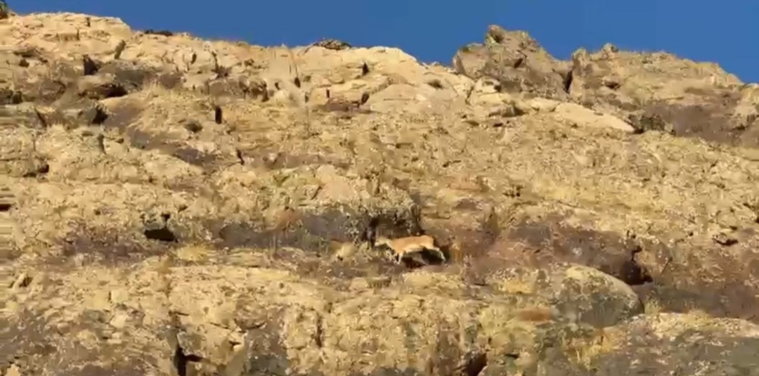 I M G 20250930 092502