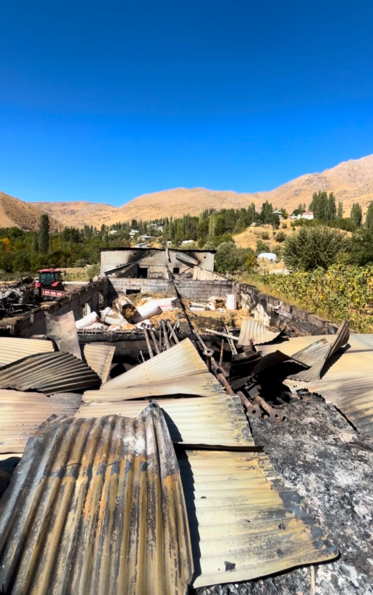 7Cd1D0B8 8Cb5 43Ca A19B Da0A9D837A10