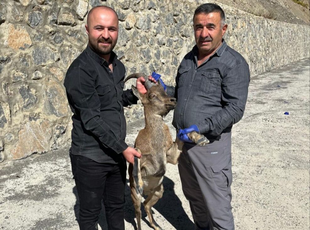 I M G 20251012 154454