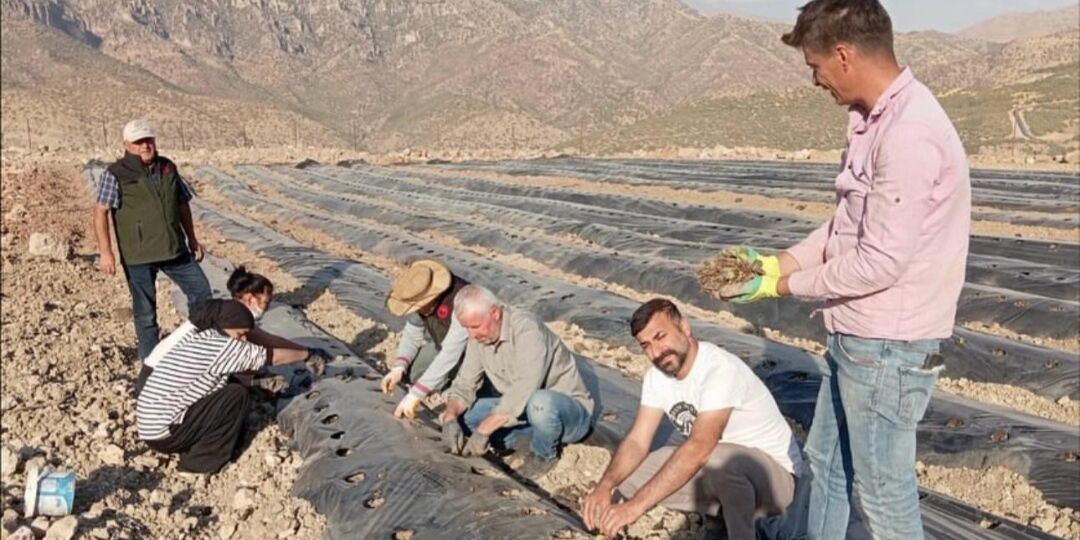 I M G 20251012 174722