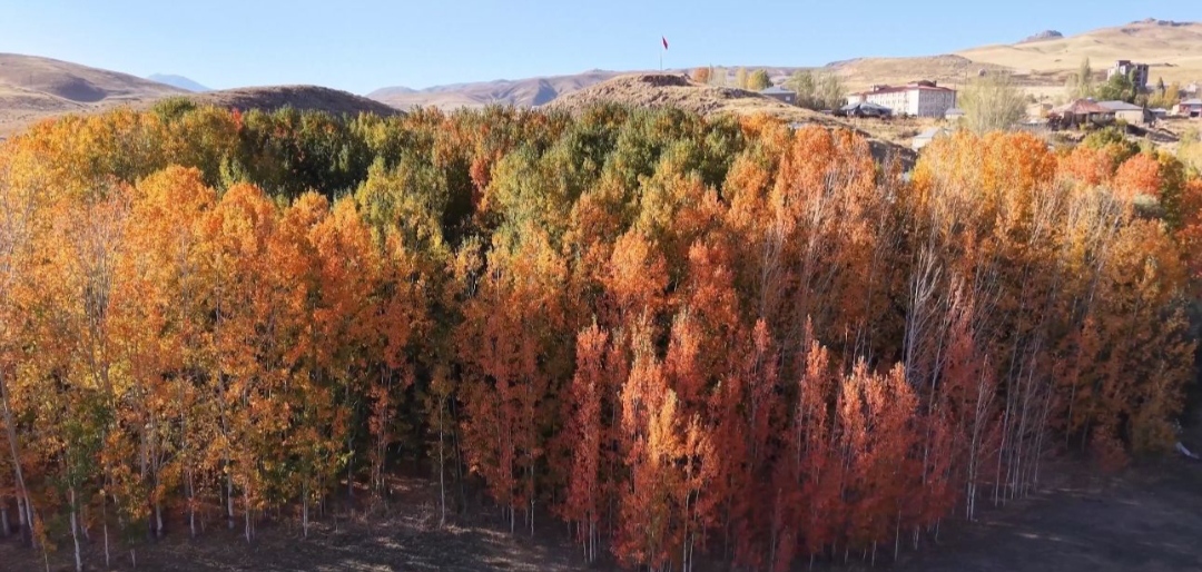 I M G 20251018 110303