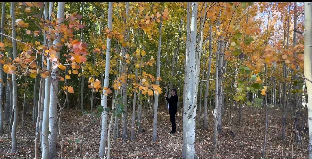 I M G 20251018 110316