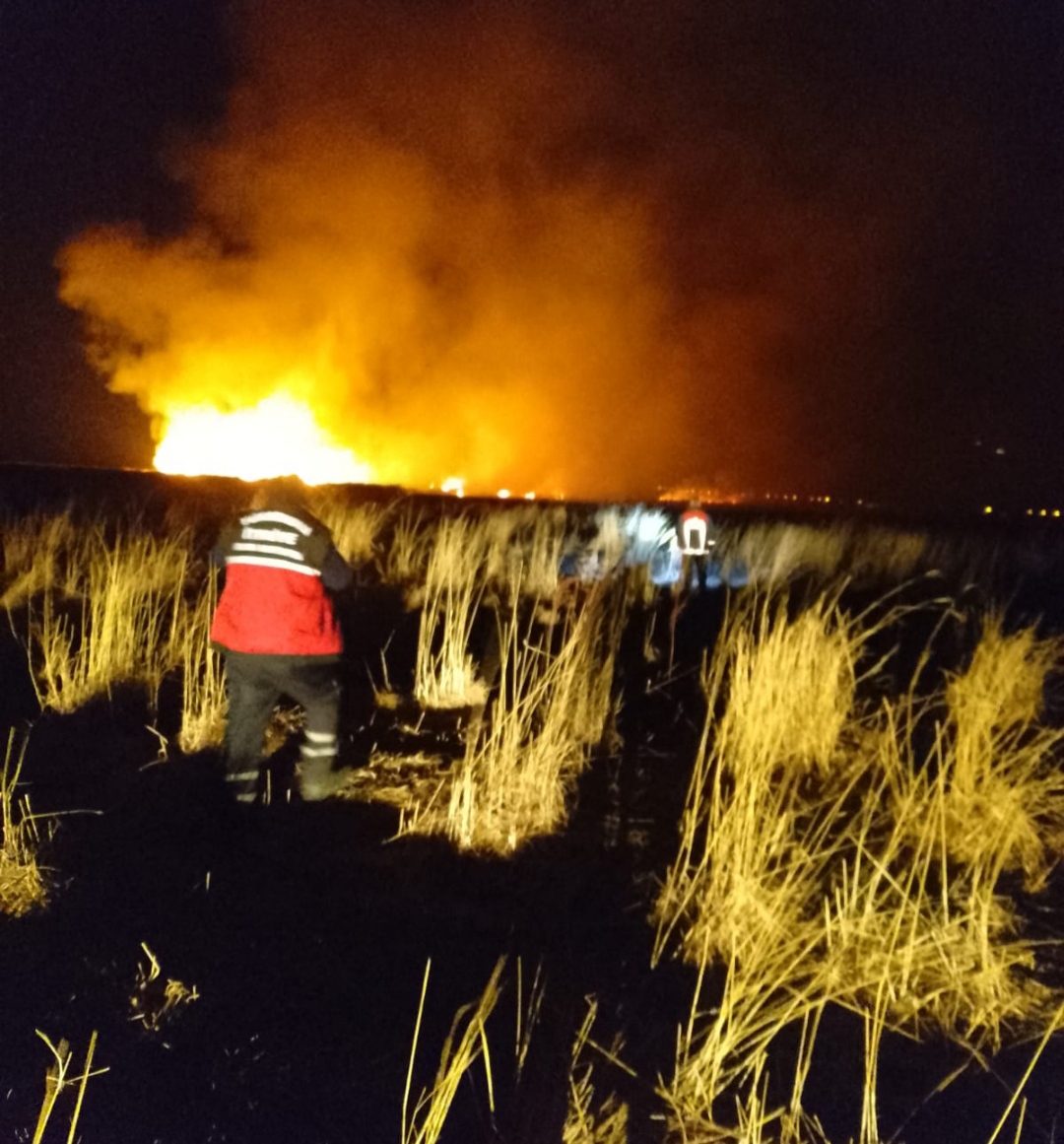 I M G 20251020 211523