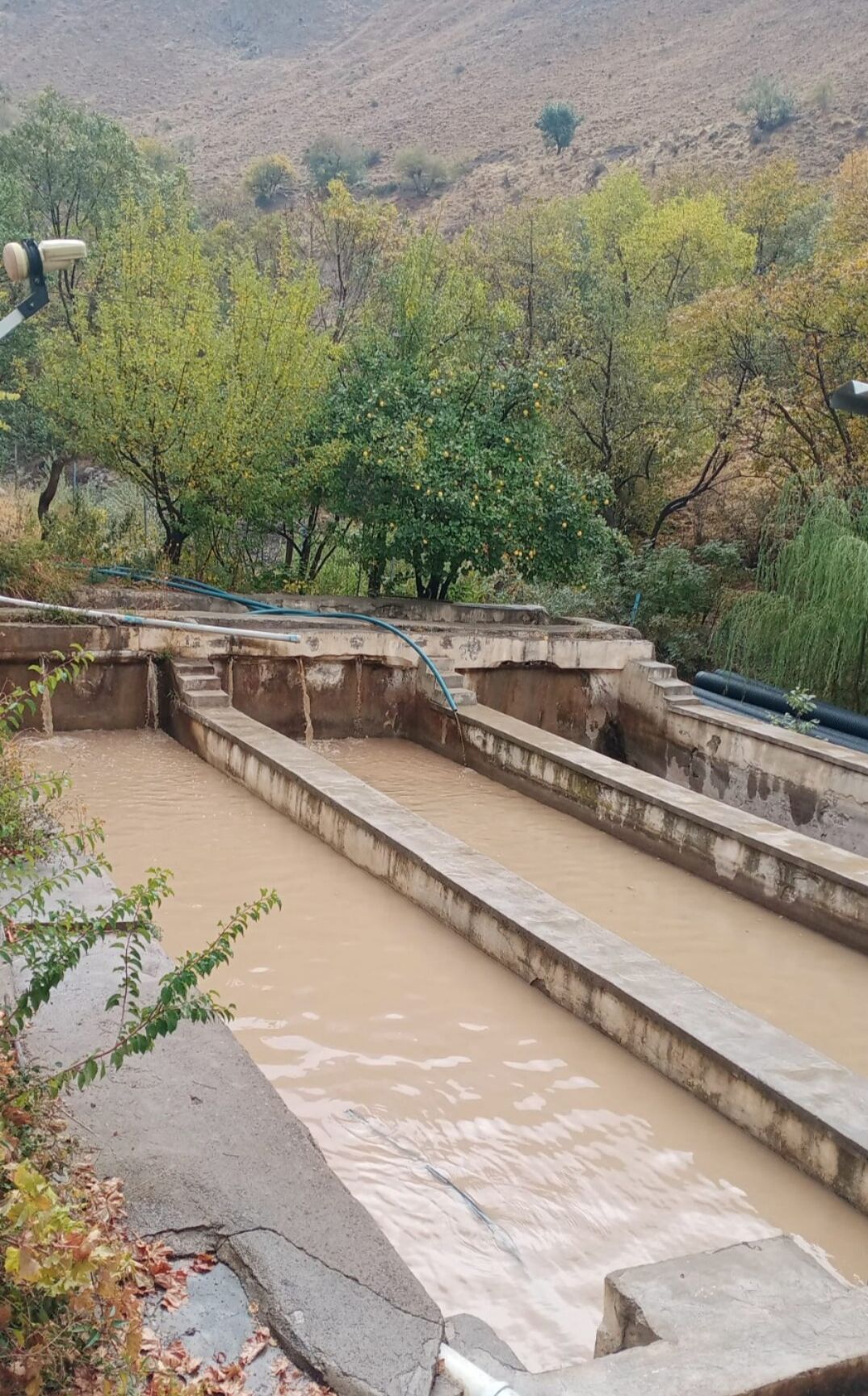 I M G 20251028 101812