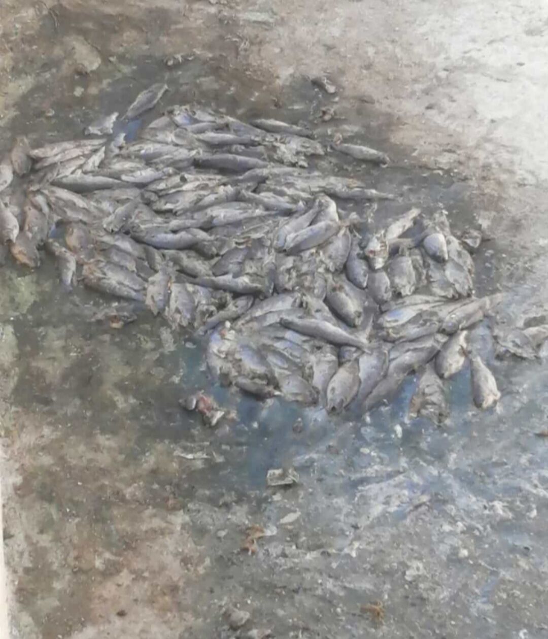 I M G 20251028 101822