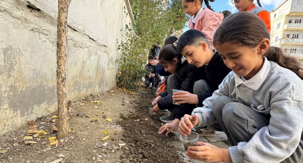 I M G 20251028 235419