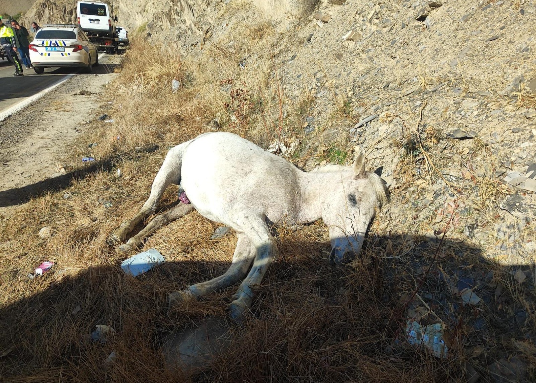 I M G 20251106 105516