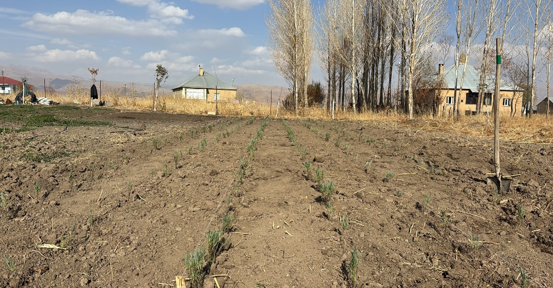 I M G 20251108 183905