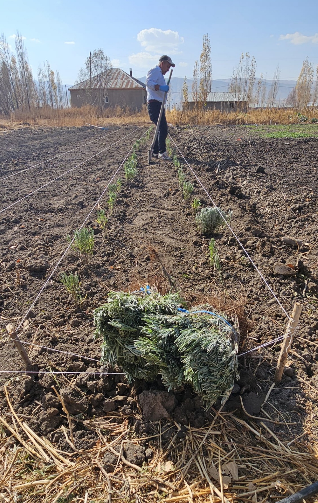 I M G 20251108 183928