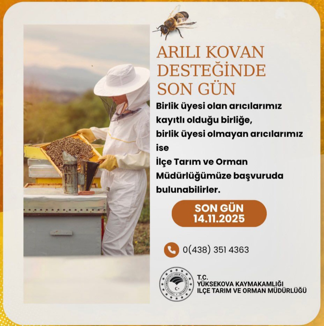 I M G 20251114 062017