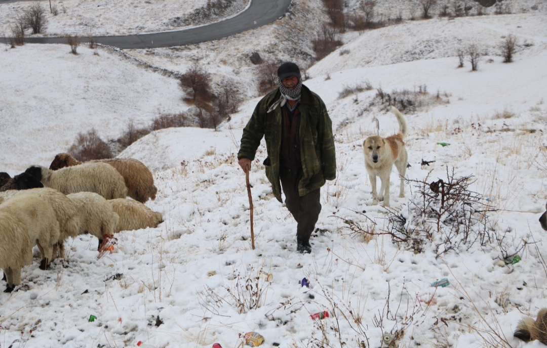 I M G 20251115 123910