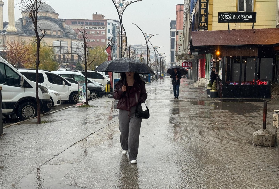 I M G 20251116 114159