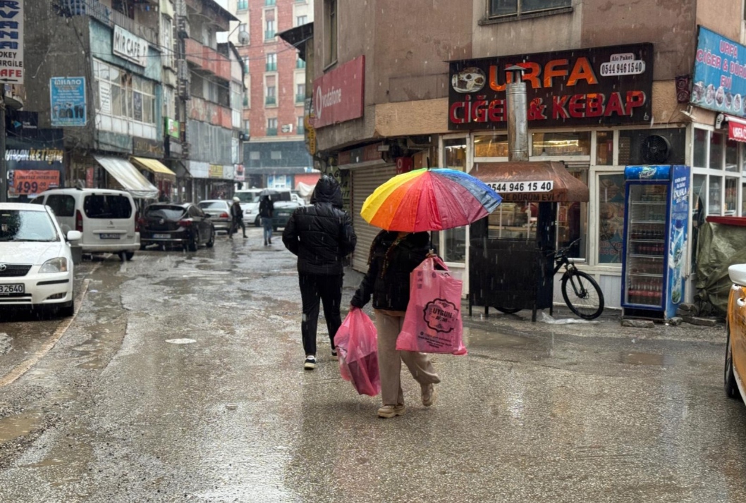 I M G 20251116 114221