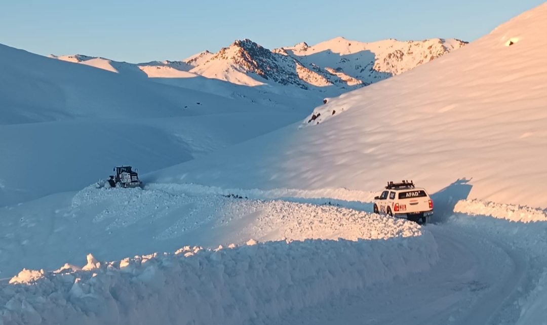 I M G 20251118 230513