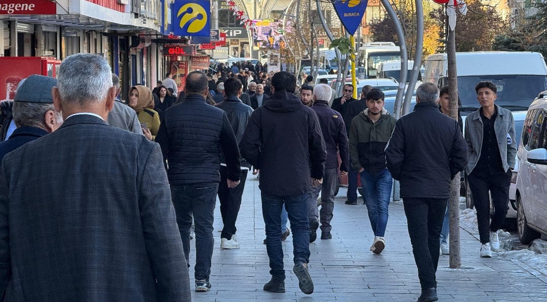 I M G 20251123 115039