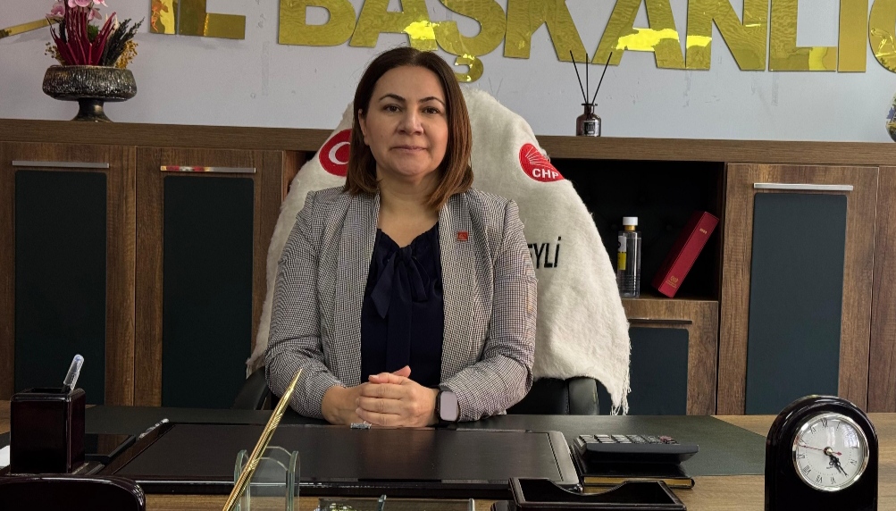 I M G 20251123 121713