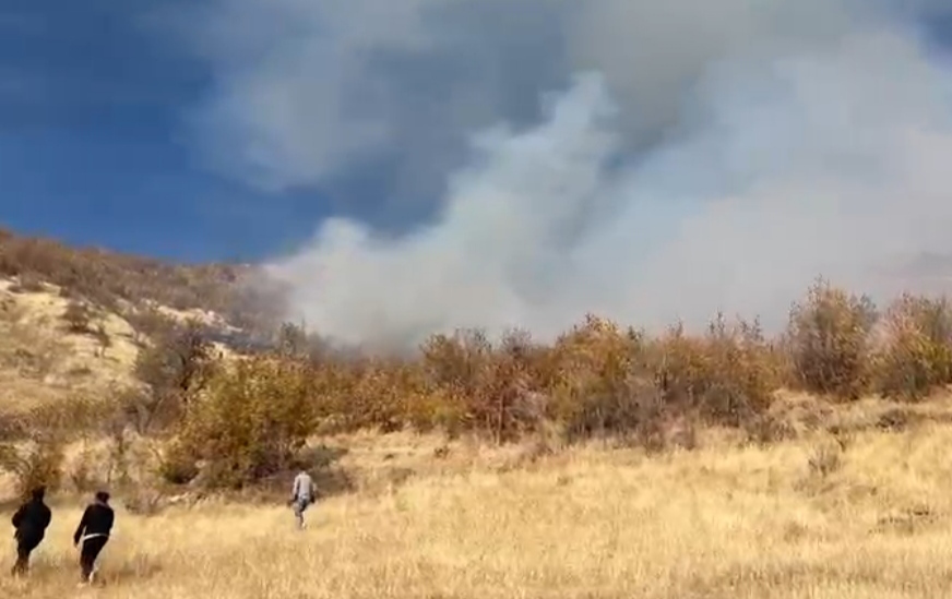 I M G 20251123 160819