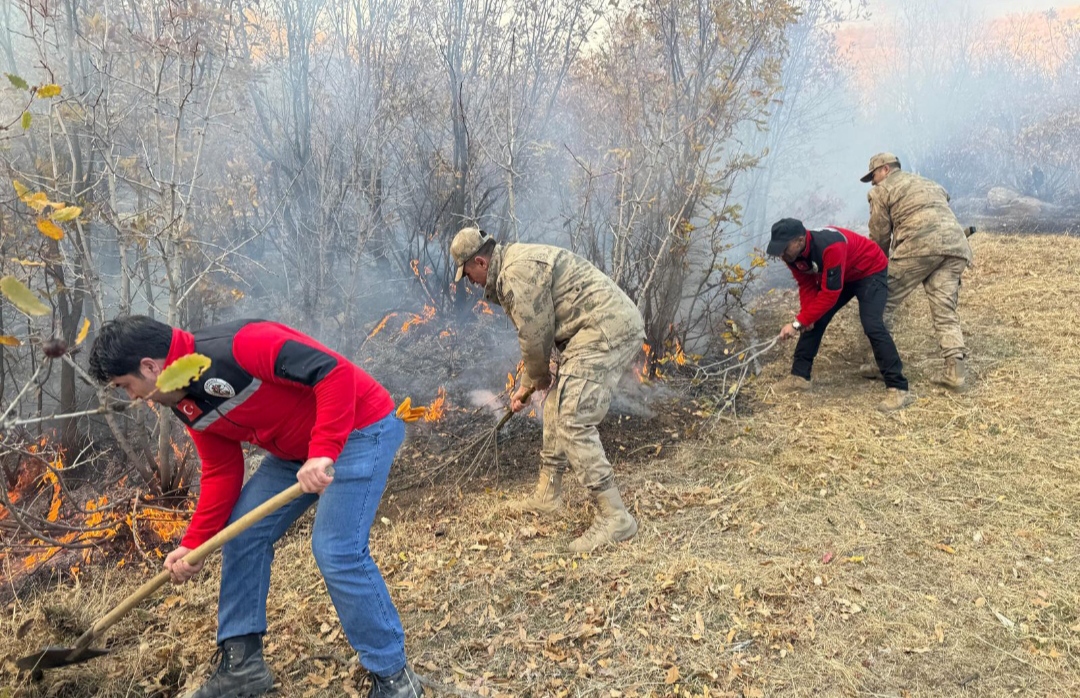 I M G 20251123 161312