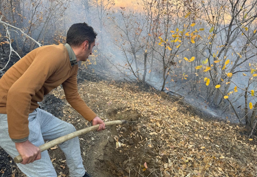 I M G 20251123 161322