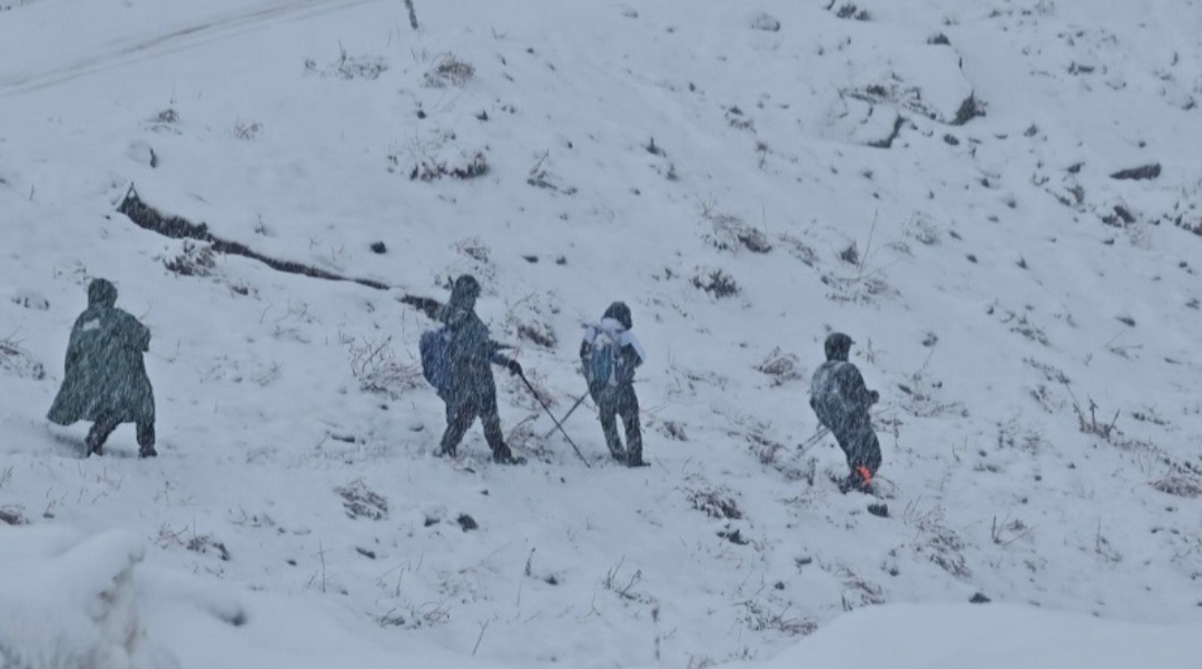 I M G 20251207 232142