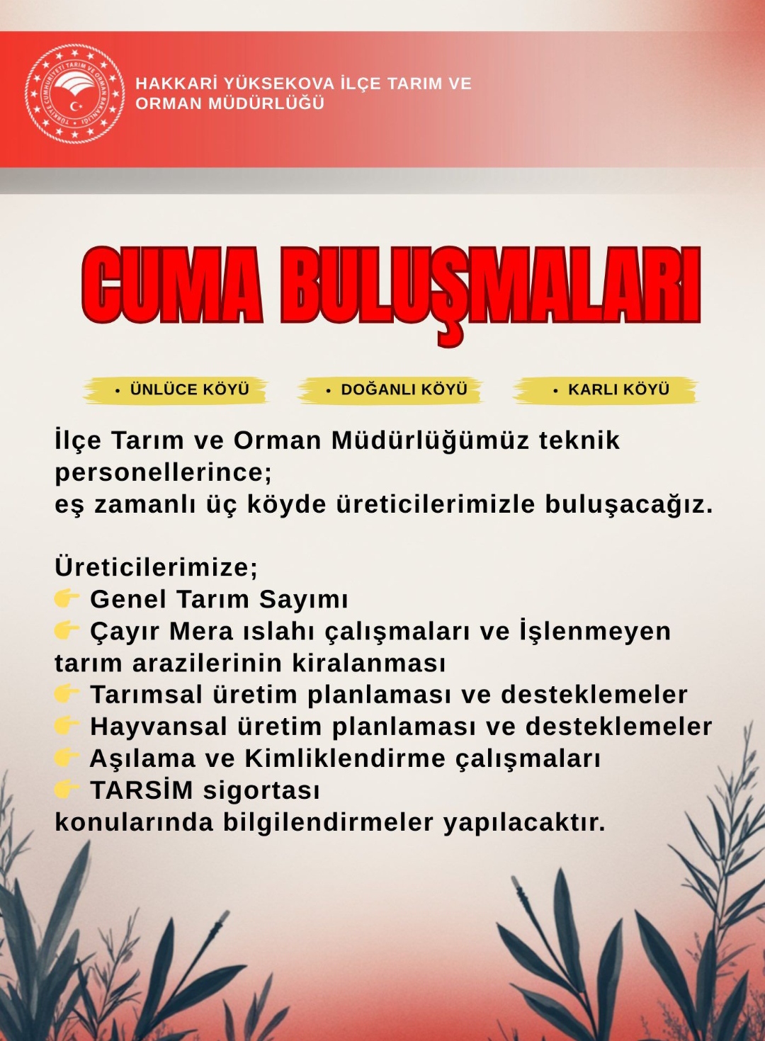 I M G 20251212 145035