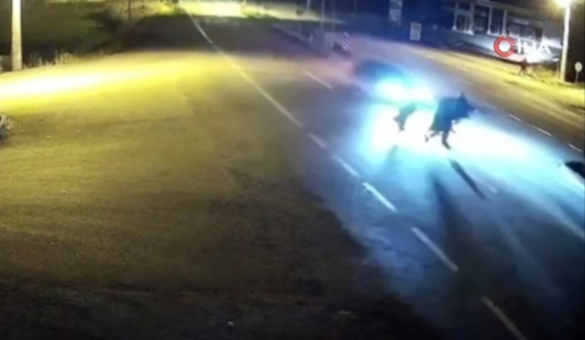 I M G 20251212 205805