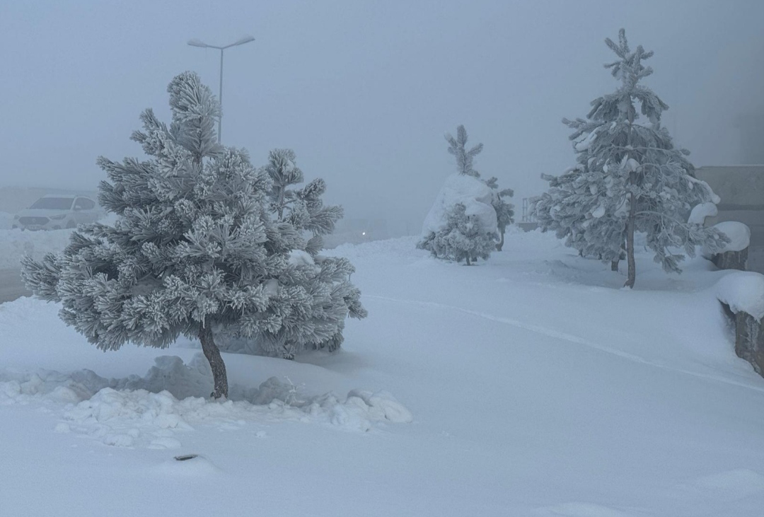 I M G 20251231 095735