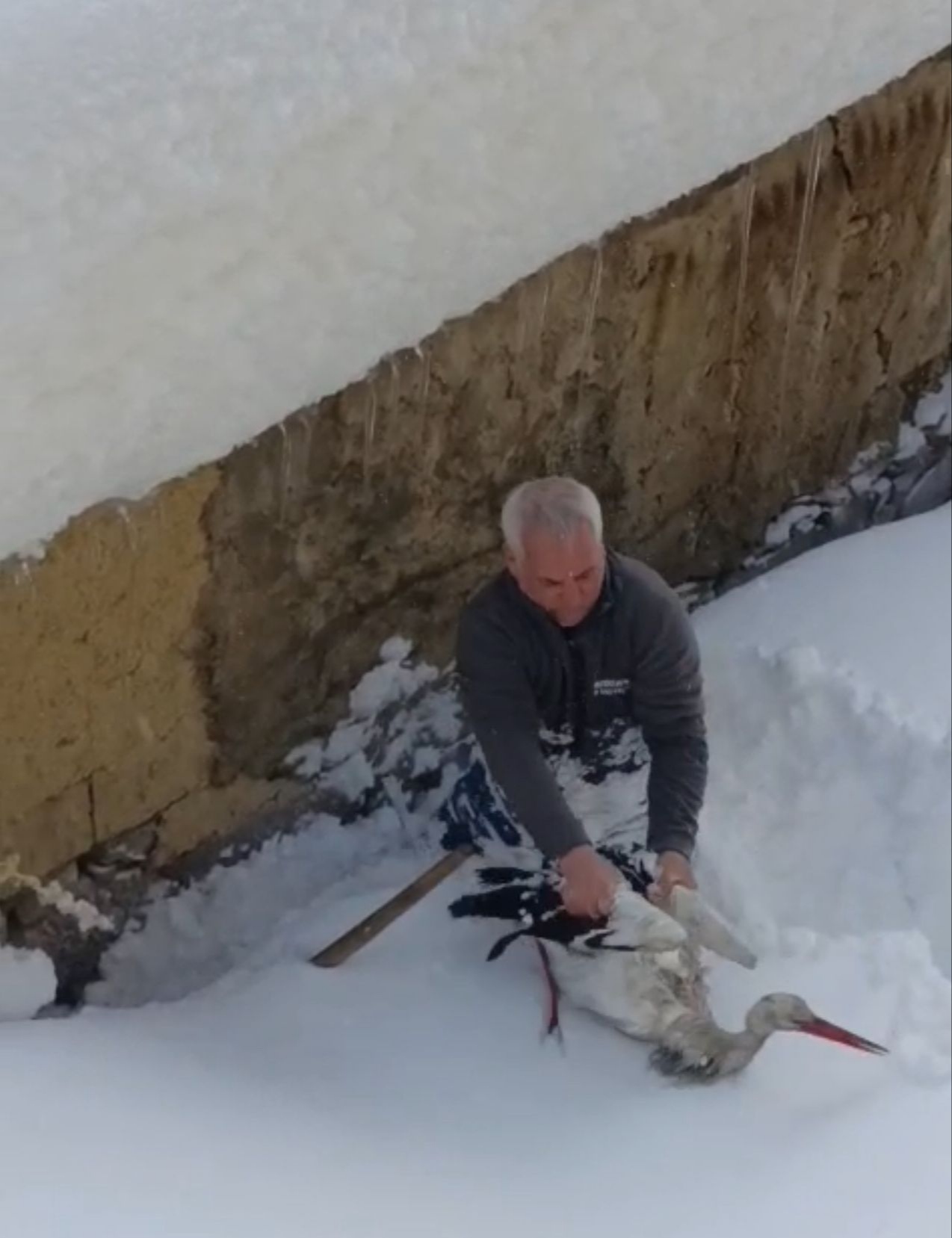 I M G 20260102 181659