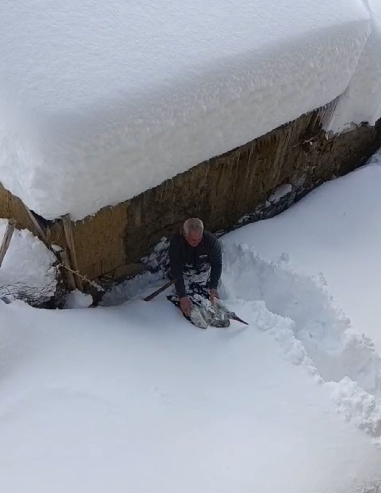 I M G 20260102 181718