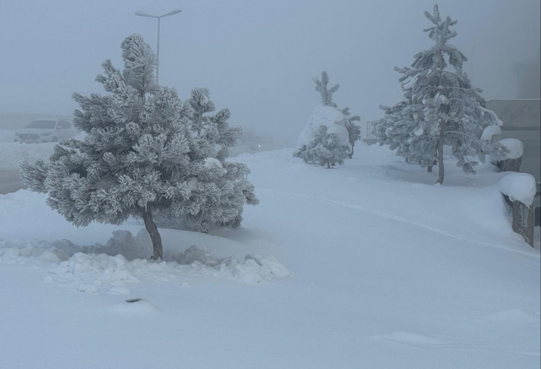 I M G 20260104 105645