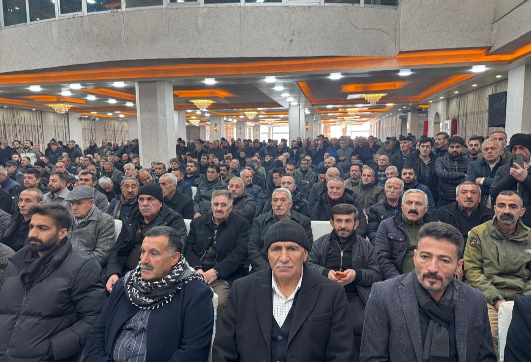 I M G 20260104 144138