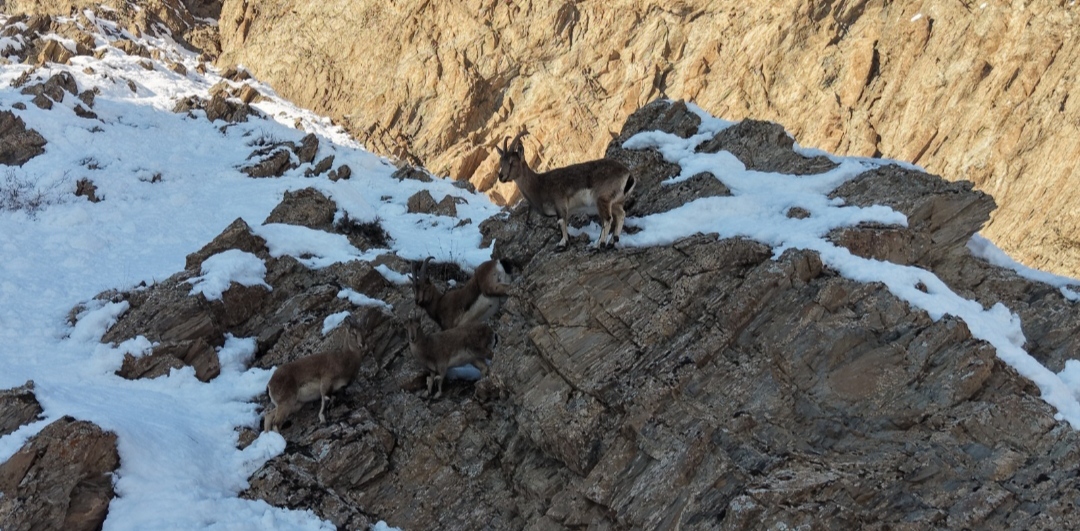 I M G 20260105 110602