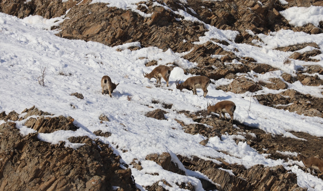 I M G 20260105 110611