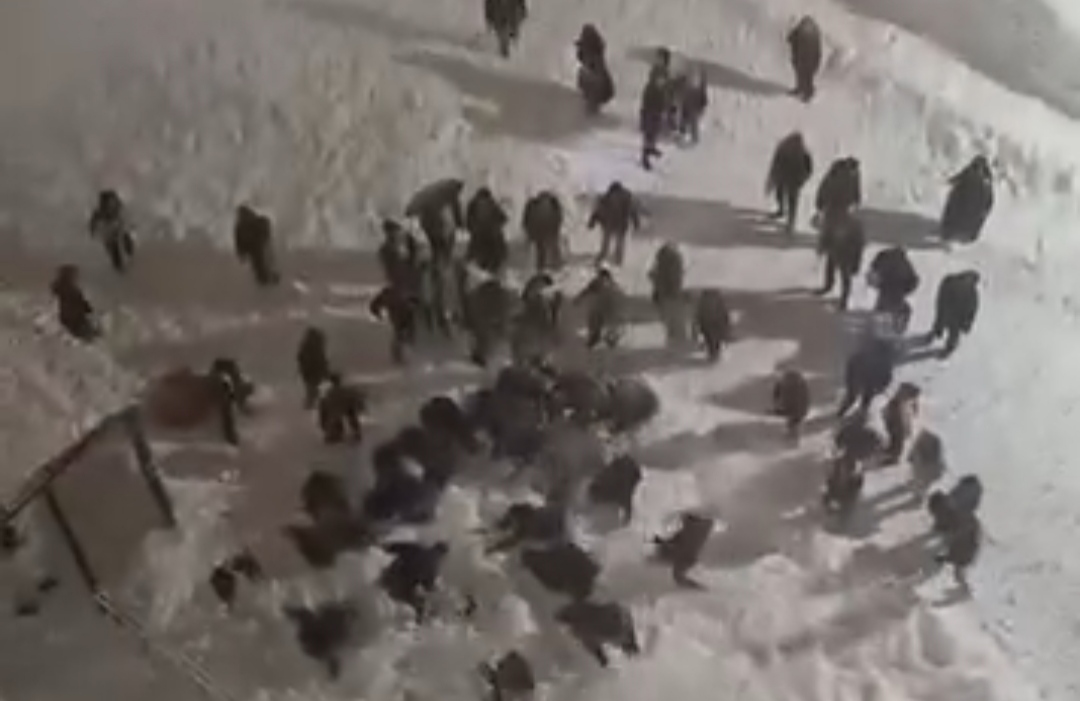 I M G 20260109 235615