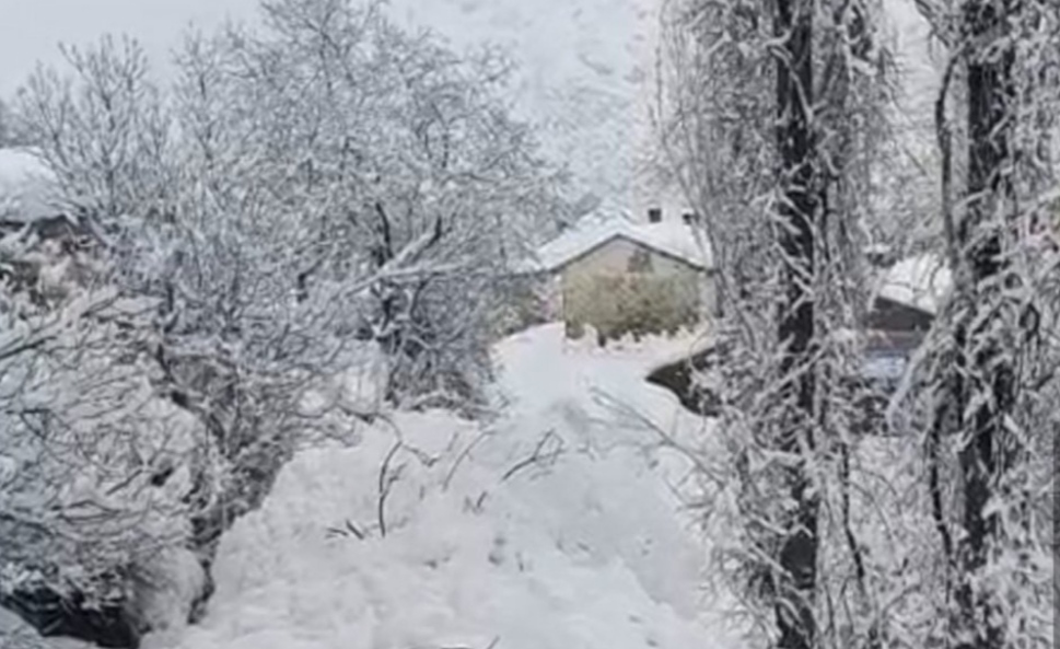 I M G 20260115 054531