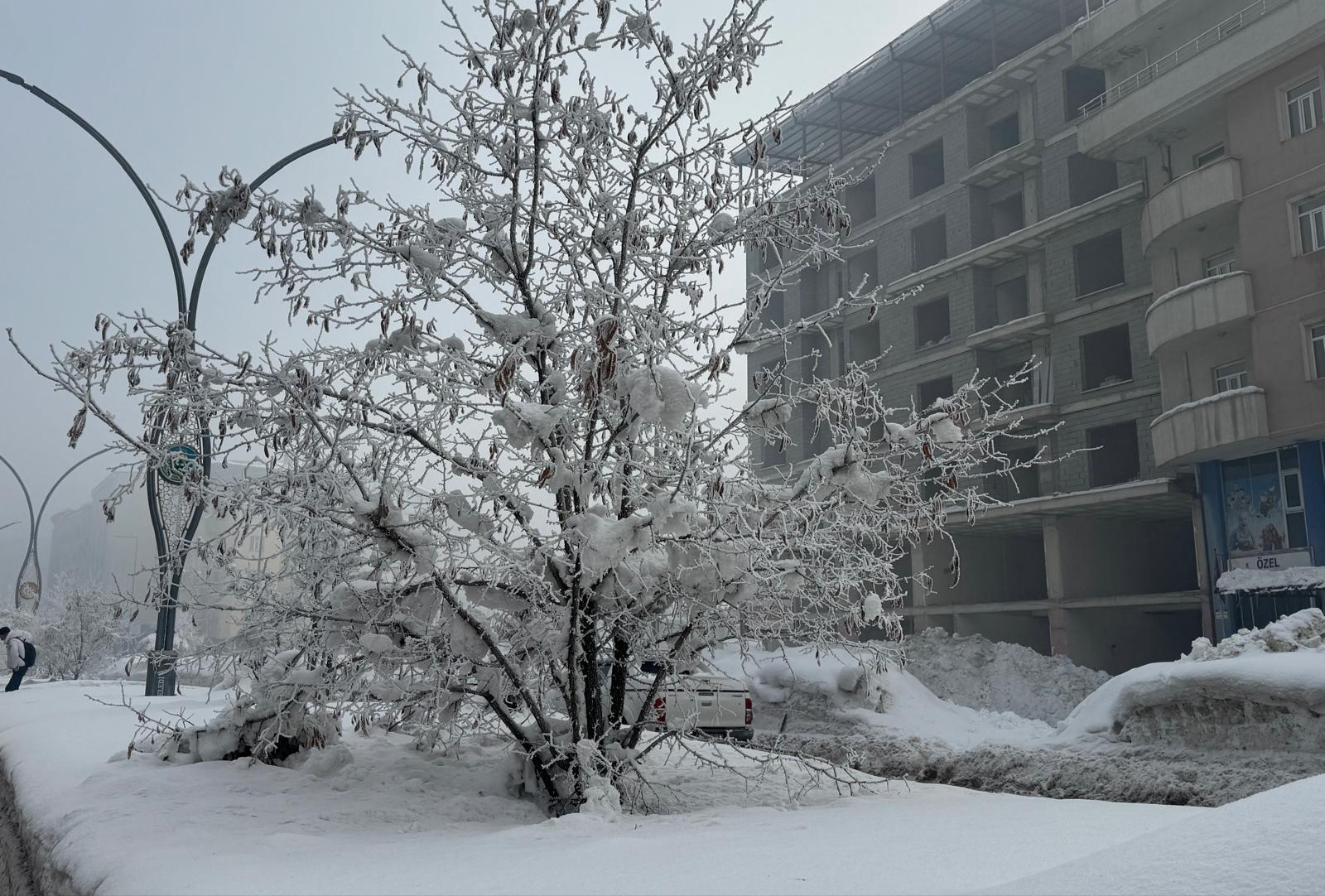 I M G 20260117 100959