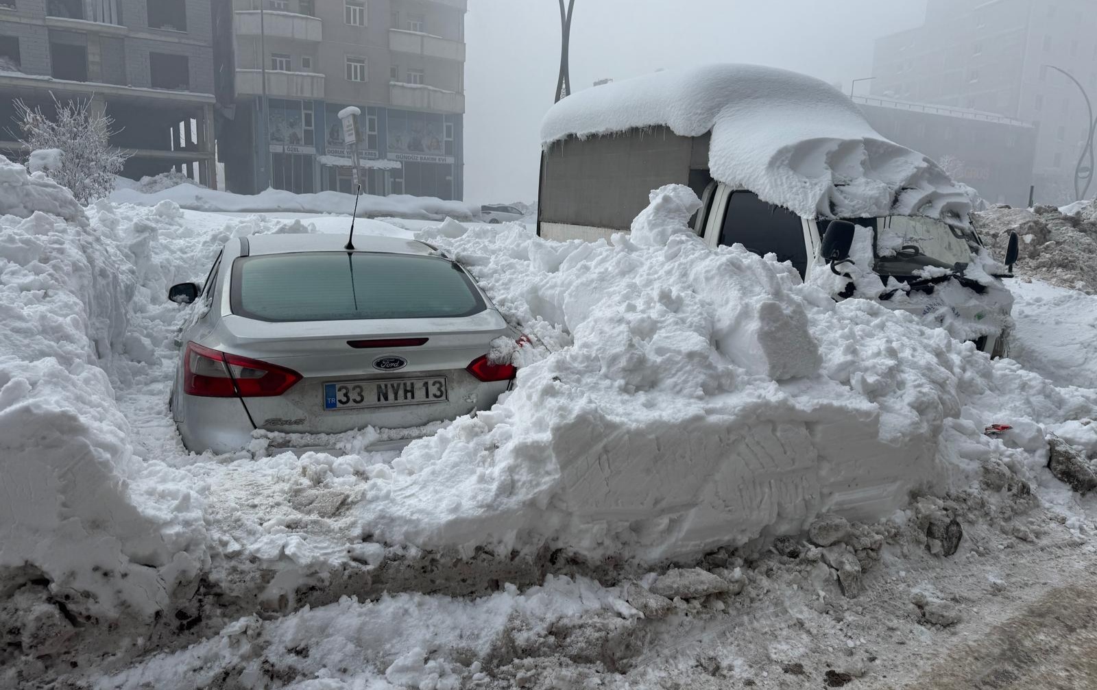 I M G 20260117 101014