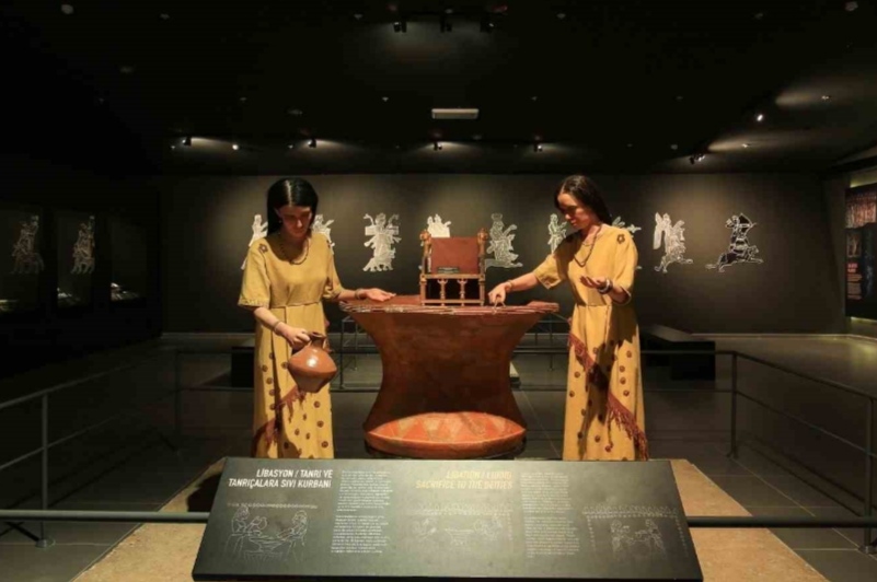 I M G 20260118 055521