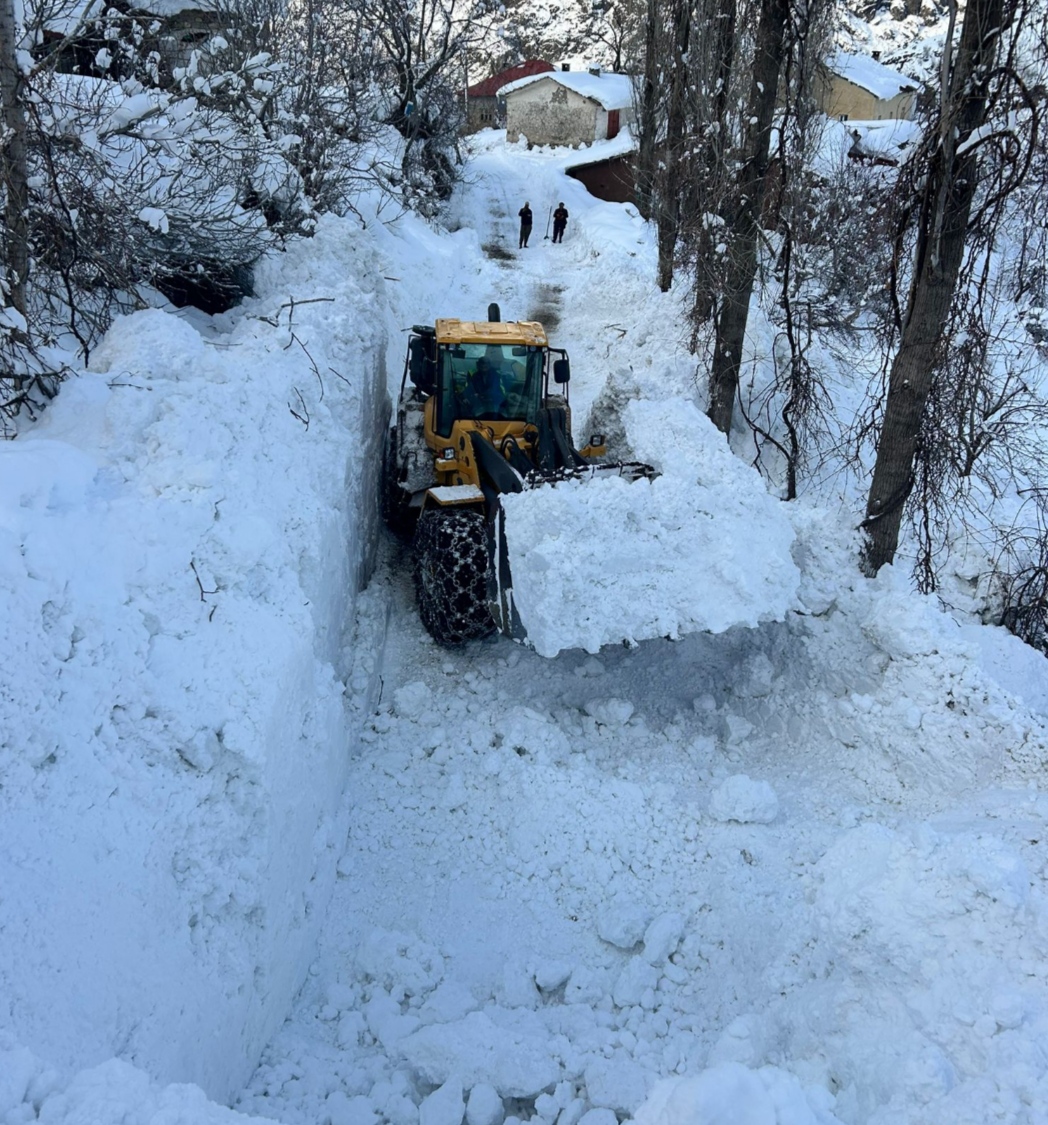 I M G 20260118 121011