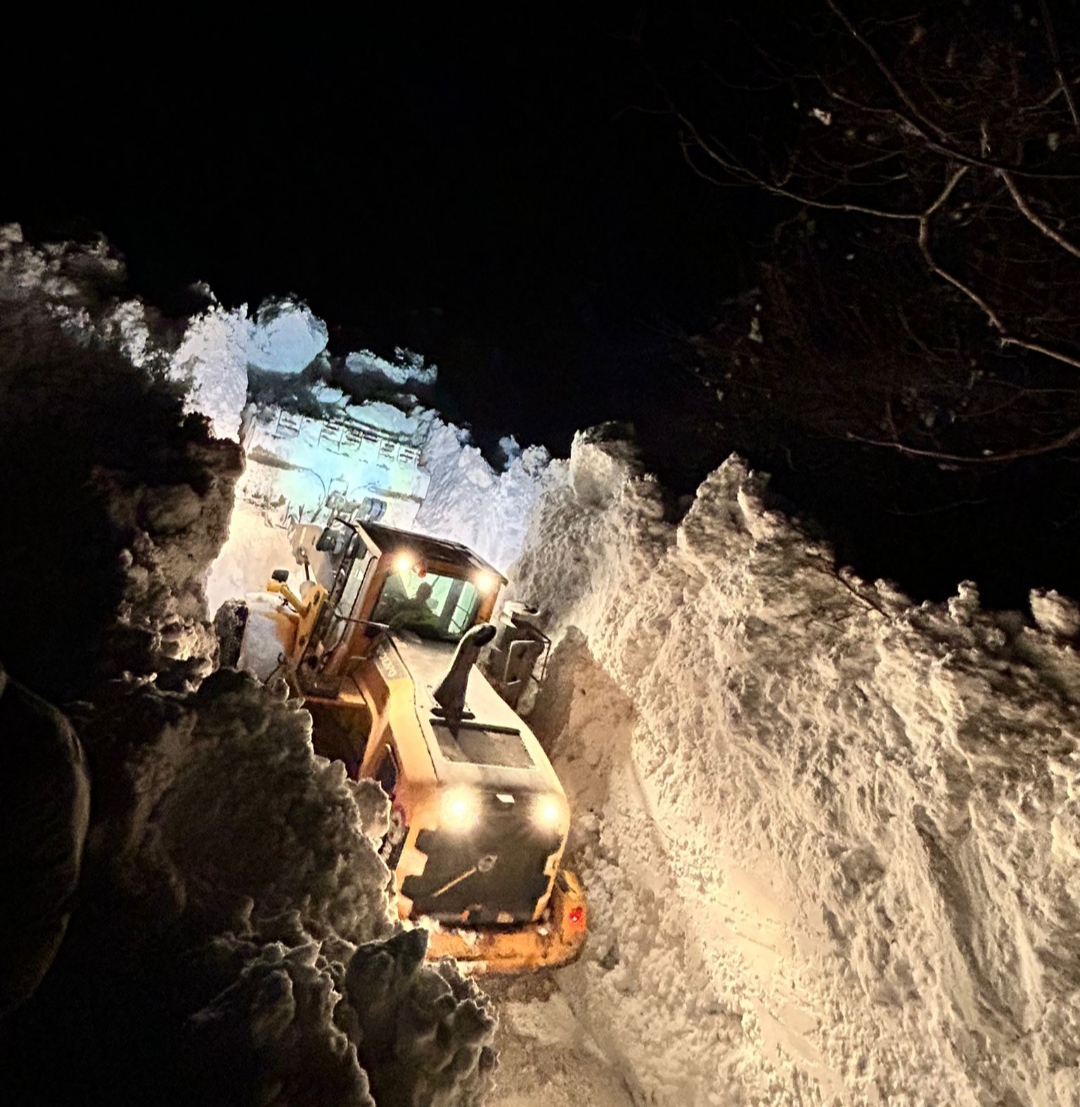 I M G 20260118 121019